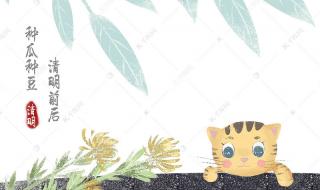 清明节吃青团的寓意